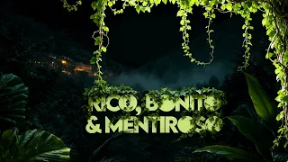Rico, Bonito & Mentiroso 🤥 Mc Theuzzin, Rennan da Penha & Alex da Baixada