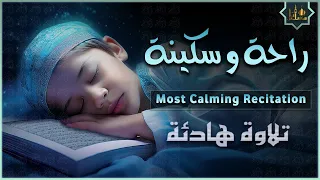 قران كريم بصوت جميل جدا قبل النوم راحة نفسية لا توصف Quran Recitation 