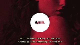 Daniel Di Angelo D U I Lyrics 