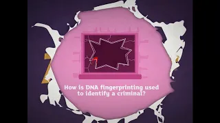 KS3 Activate 3 Kerboodle Explaining DNA fingerprinting