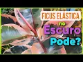 Channel
