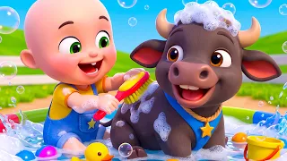 Bobo Feeds Baby Buffalo | Bathing & Brushing Farm Animals | Baby Cartoon and Kids Songs | Baby Bobo