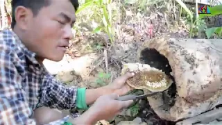  honey hunting sawarikot dang kuldip nyaupane 