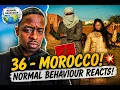 36 - Morocco Normal Behaviour Reacts