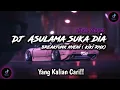 Download Lagu DJ Asulama breakfunk nyeni Kiki RMX viral tiktok 2023