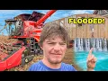 Download Lagu Harvest Started BAD… My Mansion FLOODED \u0026 Crops Are DEAD