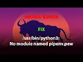 UBUNTU FIX python3 No module named pipenv pew