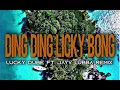 Download Lagu DING DING LICKY BONG - LUCKY DUBE - JAYV LUBBA RMX - CLASSIC MIX - K21!!!