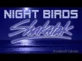 Shakatak - Night Birds / Remix (Axelsoft's Funky Night Version / Roland JDXA)