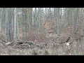 Ohio hunting lease now available on HLRBO