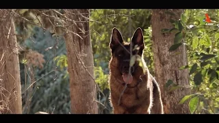 LE HEROS INCONNU Film 2016 