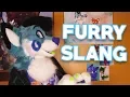 Furry Vocabulary Slang and Lingo