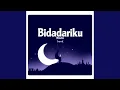 Download Lagu Bidadariku