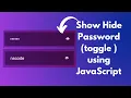 Show Hide Password toggle using JavaScript HTML and CSS NSCODE