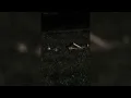 ᴄᴀɴᴏʟ ꜰʟᴏᴏᴅ - ᴘʟᴀʏɪɴɢ ᴍᴇ ꜱʟᴏᴡᴇᴅ&ʀᴇᴠᴇʀʙ