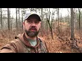 Georgia Public Land Deer Bedding Areas