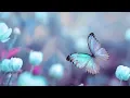 Download Lagu Beautiful Relaxing Sleep Music, Soft Piano Music, Meditation Calm Music  \