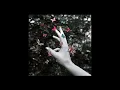 Cellophane (Brain) (Official Audio) - Middle Kids