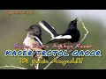 Download Lagu TERAPI KACER TROTOLAN di pagi hari agar cepat gacor, dijamin AMPUH!!! Buka suara anakan kacer