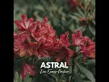 Astral