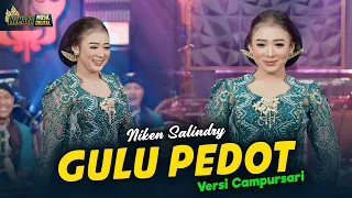 niken salindry gulu pedot kembar campursari official music video