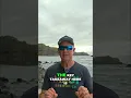 Maui Vacation Rental Ban The NEW Rules