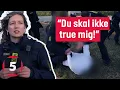 Download Lagu Isabella bliver truet på Distortion! | Gadebetjentene | Kanal 5 Danmark