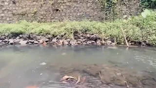 mancing cantik terbaru makin hot hot fyp fyp fyp viral