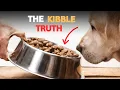 The Truth About Kibble Is Dry Dog Food Slowly Harming Your Dog Vet-Backed Guide