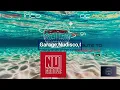 Deep Into The Vibe of House  EP 91-Tribute to NU GROOVE RECORDS VOL 4