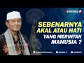 Download Lagu Sebenarnya Akal Atau Hati Yang Merintah Manusia ? Buya Syakur