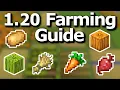 The Ultimate Minecraft 1 21 Crop Farming Guide - Tips and Tricks to Efficiently Grow Food