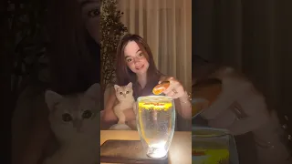 ترند الكركم مع بيسان وكاندي بيسان اسماعيل 