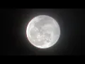 Huge Super Moon In Florida In 4K
