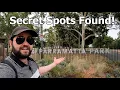 Explore PARRAMATTA Park and Discover its Hidden Gems