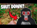 Gorilla Tag is Shutting Down Gorilla Tag News