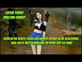 Lagu Indonesia//Dangdut Sunda//Cucuk Paray Jangjang Simeut.