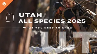 Want to Pick Up a Hunting Tag In Utah Must Know Information