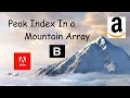 Peak Index in a Moutain Array - LeetCode 852
