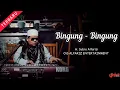 Lagu Bingung - Bingung  ||  H. Subro Alfarizi  ||  Video Live