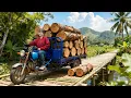Lagu Cutting Giant Wood Logs to Rebuild the Bridge After a Major Flood | Phuong Harvest Life