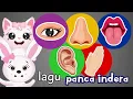 Download Lagu Lagu Aku Punya Panca Indera Semua Ada Lima (Nada Lagu Heli Guk Guk Guk)