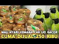 Download Lagu RIL BUKAN HOAK CAK IJO BODI BIG JINAK GACOR DOR 250 RIBU DI PASAR BURUNG PRAMUKA