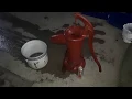 Giant Wortman Ward pitcher pump rebuild