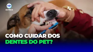 SAÚDE BUCAL DOS PETS: VEJA COMO CUIDAR DOS DENTES DOS ANIMAIS