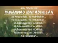 Download Lagu Sholawat - Ya Rosulallah ( Muhammad ibni abdillah )