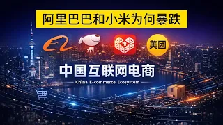 懂投哥解读阿里巴巴和小米暴跌的核心，先读懂对企业商业的拆解和估值逻辑！