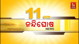 🔴 Live | Nandighosha News@11am | Nandighosha TV | Odisha | Odia News