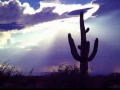 Tucson Arizona Gazette Dan Fogelberg CC