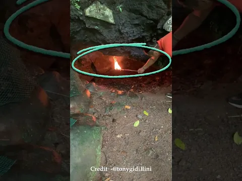 अनजान गुफा में सोना क्यों खतरनाक है?